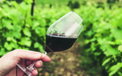 Sangiovese: de meest waanzinnige druif voor wijn