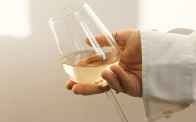 Sauvignon blanc: de meest elegante, frisse druivensoort